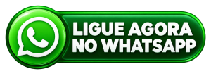 Botão verde de contato pelo WhatsApp-4